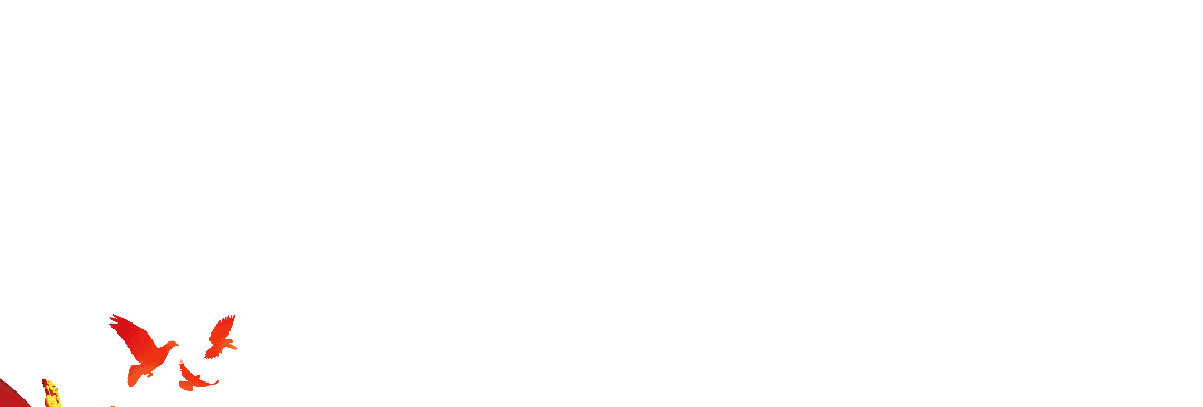 640.gif